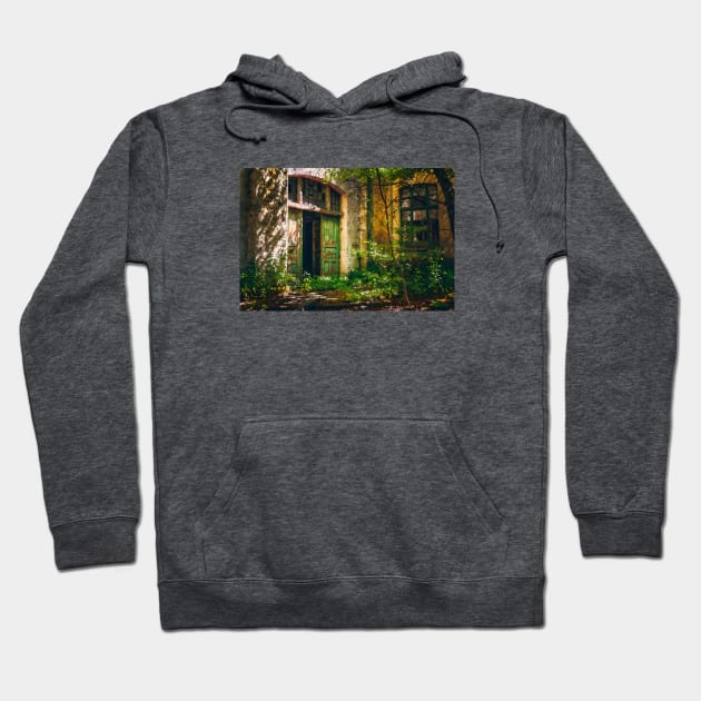 Forgotten Entrance Hoodie by Alpenglow Workshop